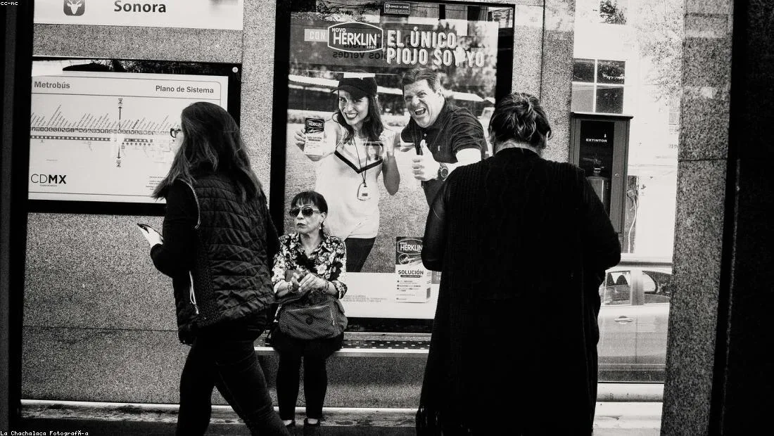 Kene yapışması vakaları için uzmanlardan dört soruda pratik uyarılar haber içi görseli